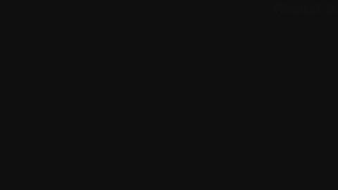 43446