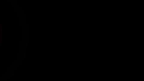 1929